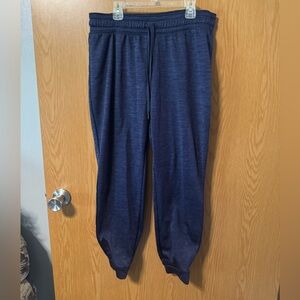 Under Armour deep purple women’s joggers